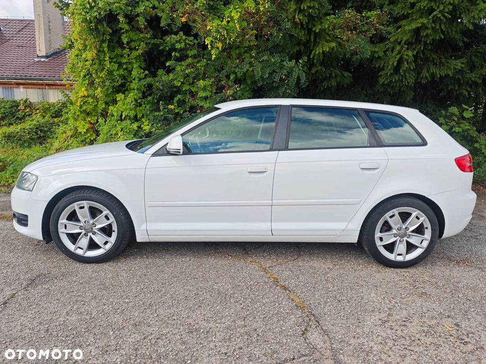 Audi A3 3-drzwiowe 2.0 TDI DPF Attraction - 13