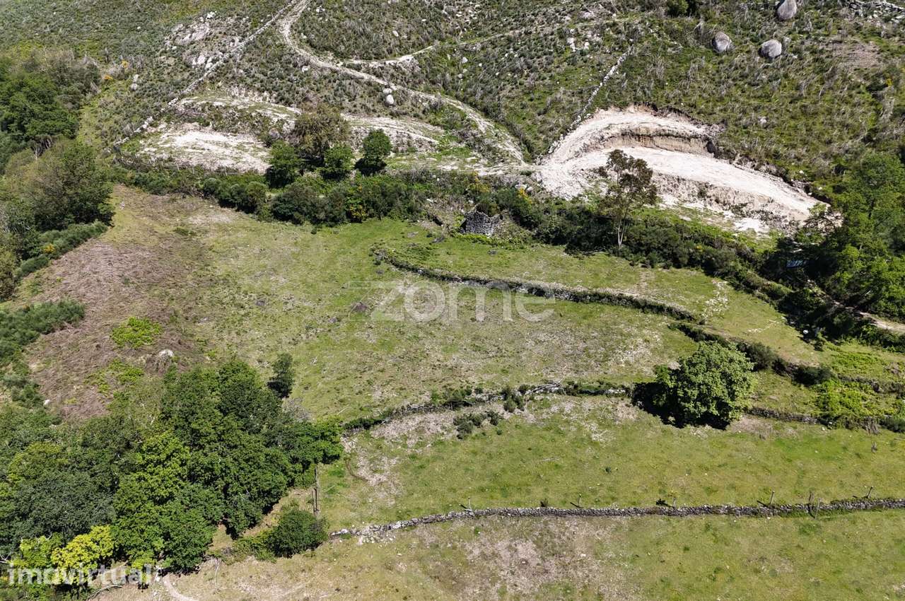 Terreno c/ruina Mixões da Serra - Grande imagem: 4/18