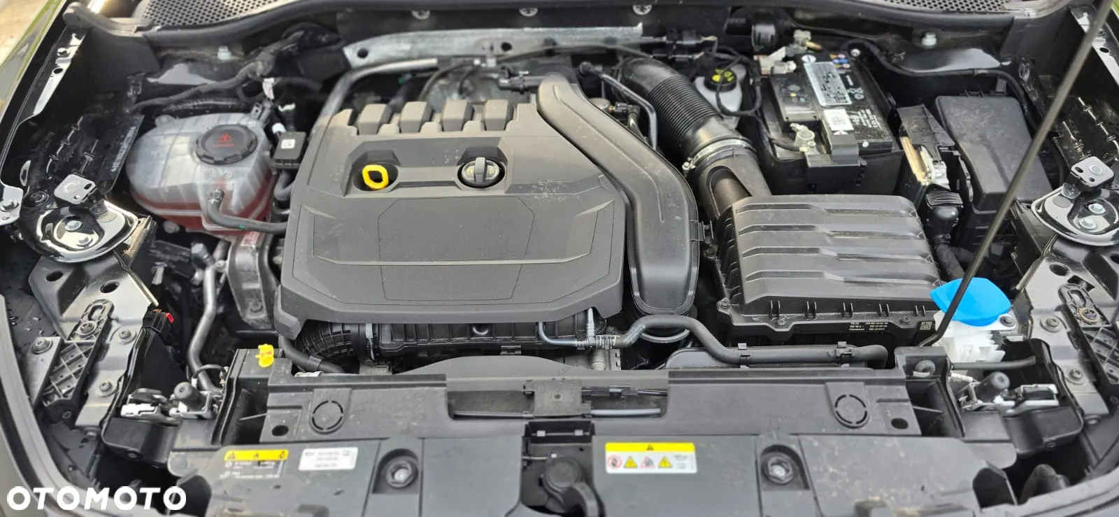 Cupra Formentor 1.5 TSI DSG - 9