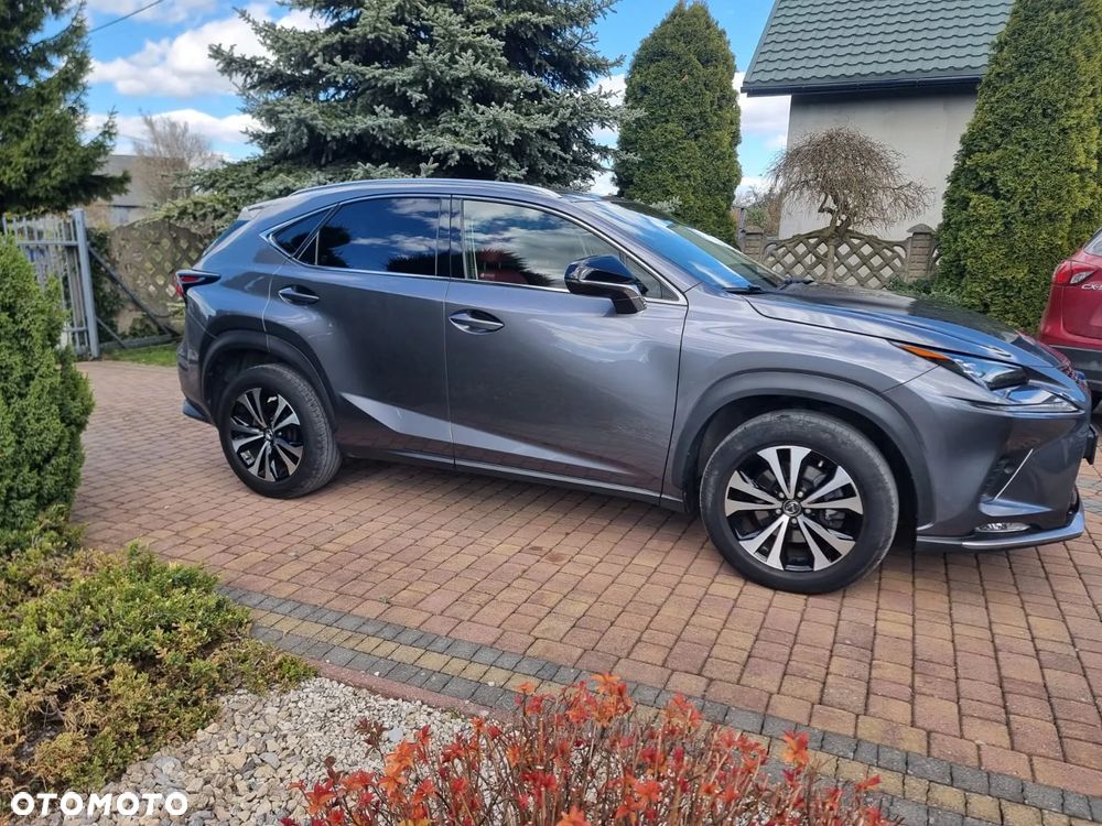 Lexus NX 300 F Impression AWD - 5
