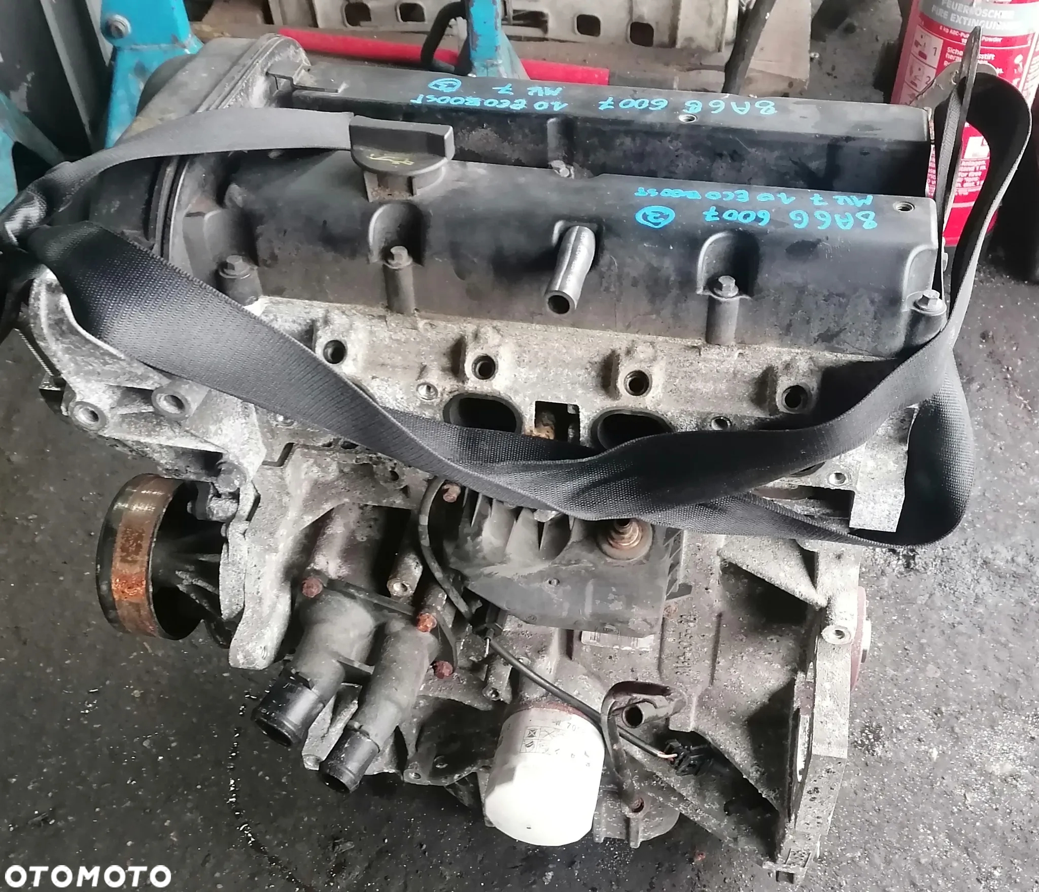 FORD FIESTA MK7 09r 1.25 44kW SILNIK STJA GOŁY - 2