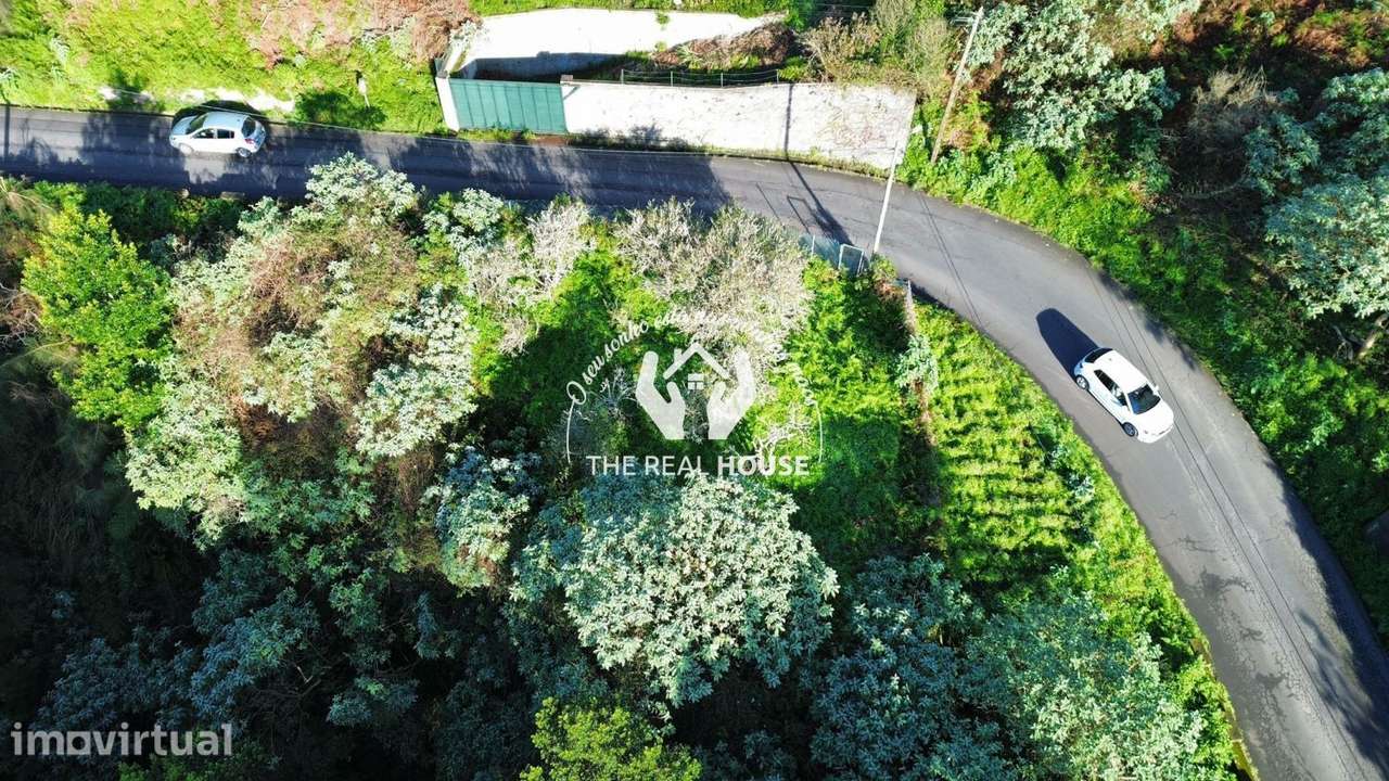 Terreno Rústico em Santo António da Serra - Grande imagem: 4/14