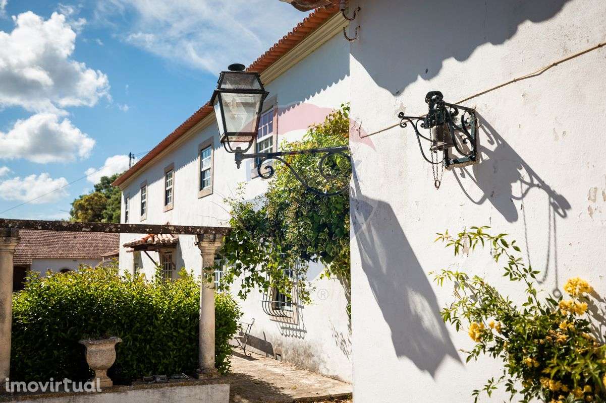 Quinta T9 para venda - Grande imagem: 5/38