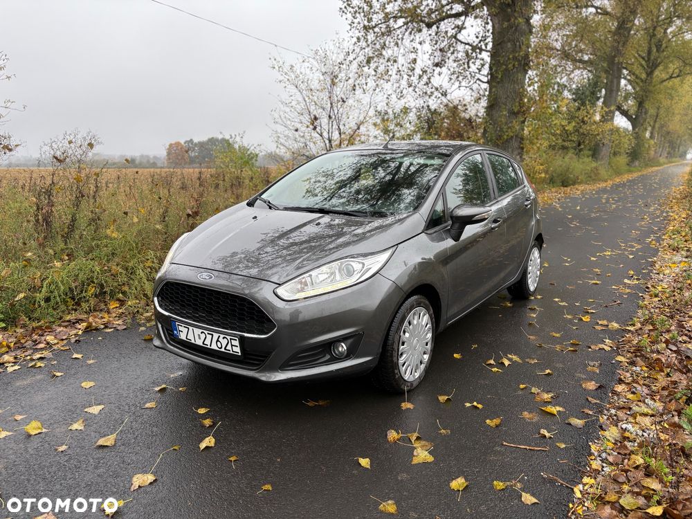 Ford Fiesta - 1