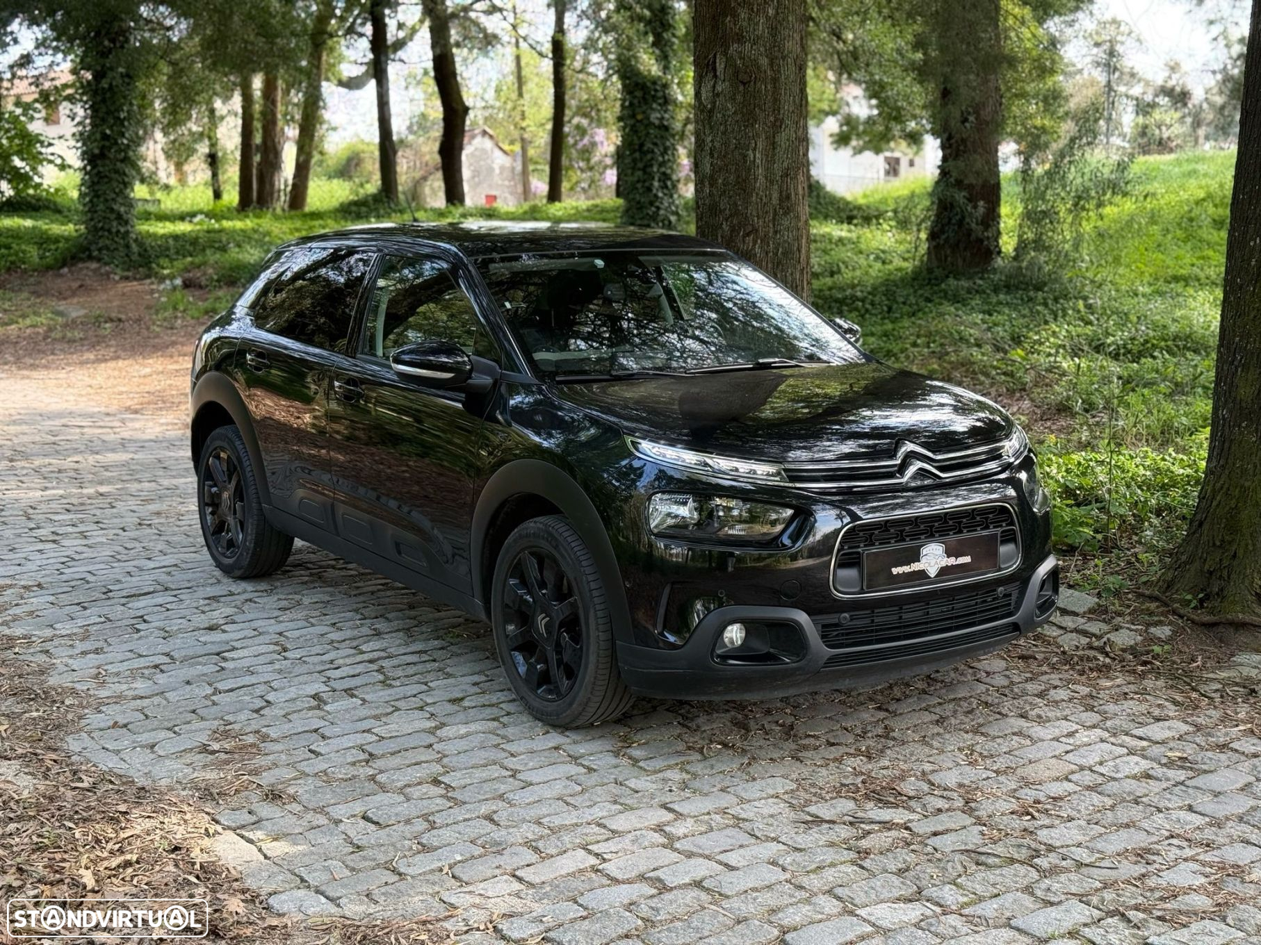Citroën C4 Cactus 1.2 PureTech Feel - 20