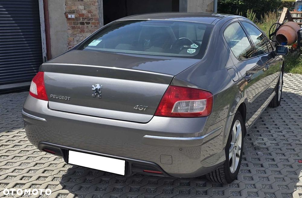 Peugeot 407 - 3