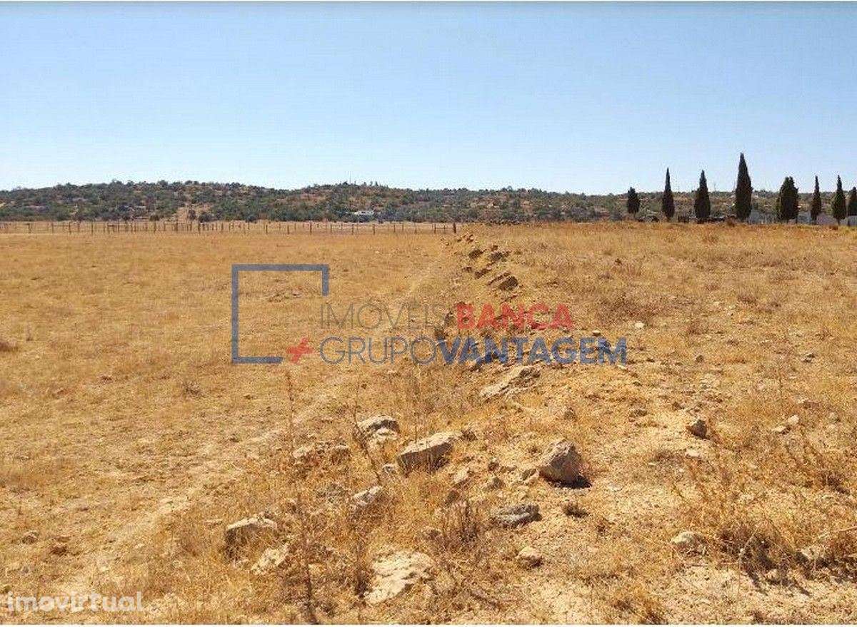 Terreno rústico com 8.980m² destinado a cultura arvense, situado em... - Grande imagem: 3/6