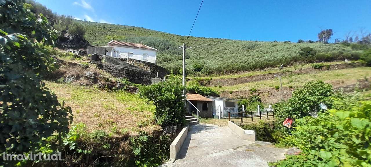 INVESTIMENTO | CEIROQUINHO | SERRA DO AÇOR - Grande imagem: 2/28