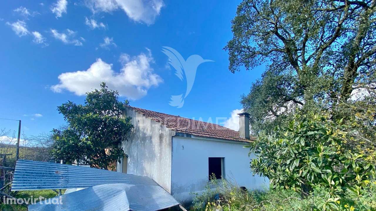 Casa antiga em Rio Maior - Grande imagem: 2/8