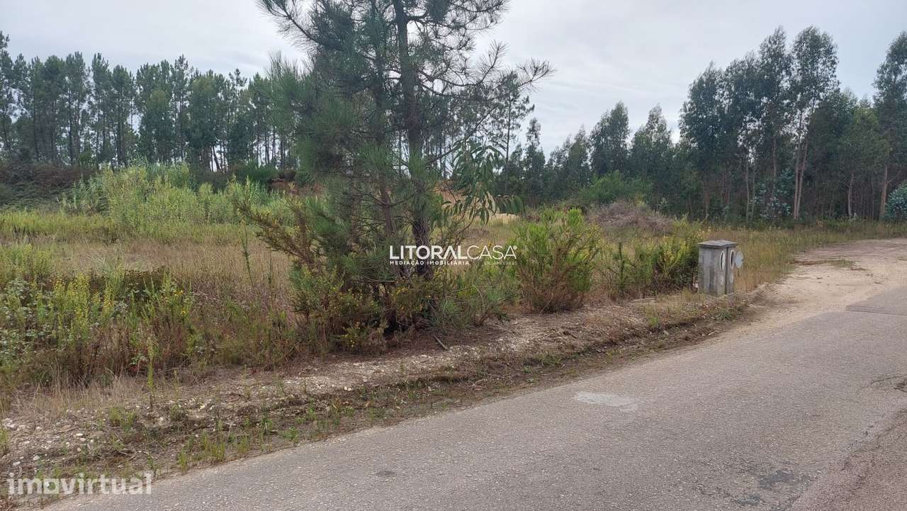 Lote de terreno p/ construção | Carregal - Grande imagem: 2/3