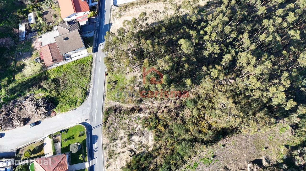 Terreno para construção com 3.400m2 em São Mamede de Negrelos, Santo T - Grande imagem: 4/4