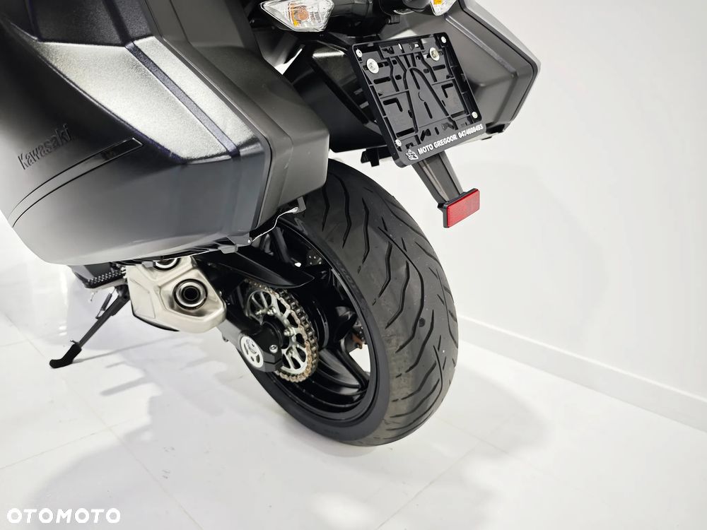 Kawasaki Ninja 1000 SX - 19