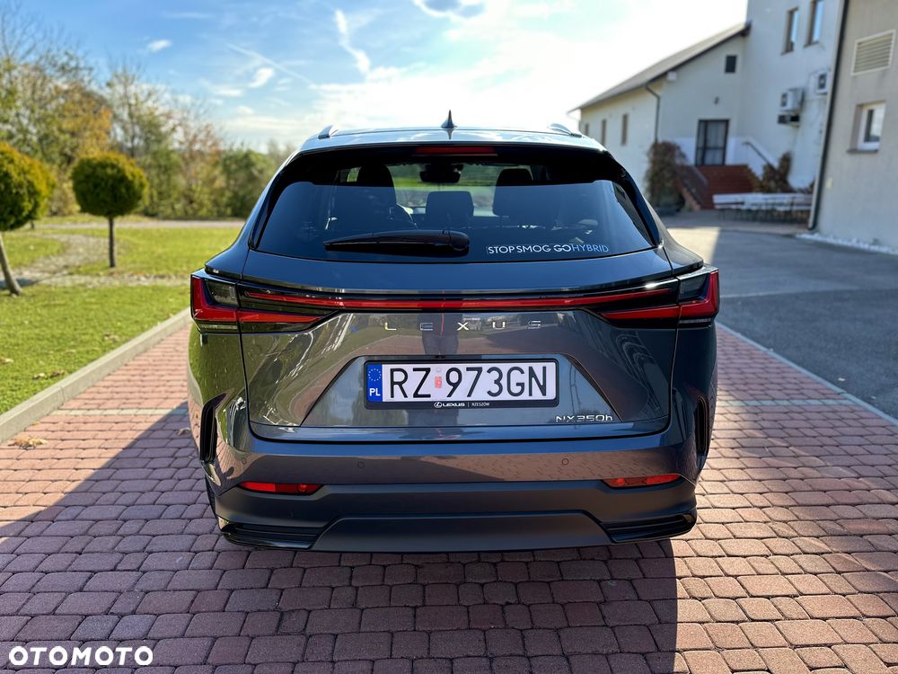 Lexus NX 350h Prestige 2WD - 4