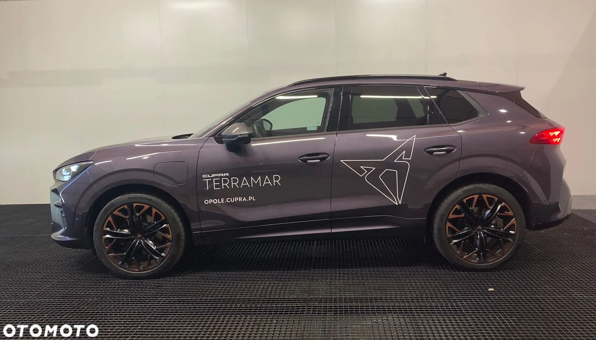 Cupra Terramar - 3