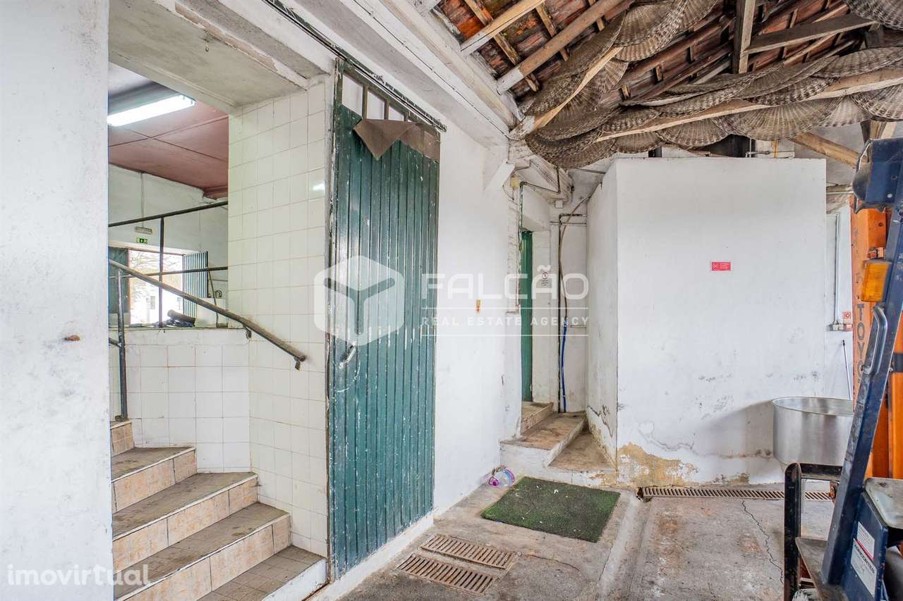 Armazém  Venda em Almoster,Santarém - Grande imagem: 5/31