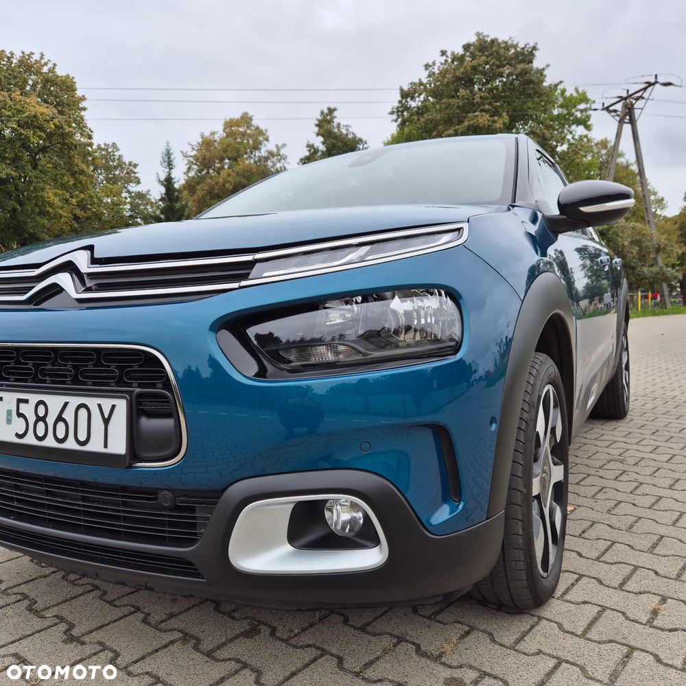 Citroën C4 Cactus 1.2 PureTech Shine S&S EAT6 - 12