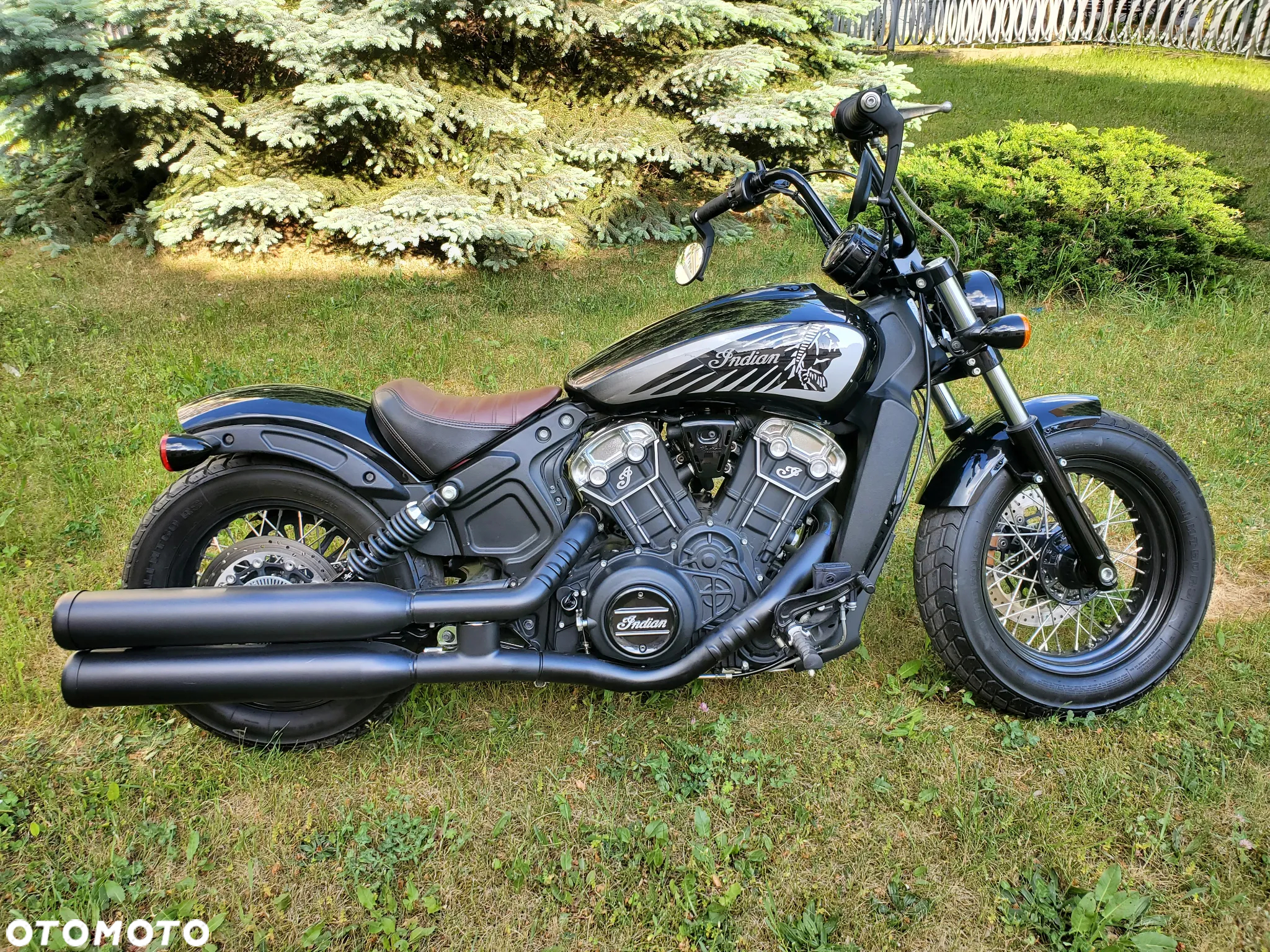 Indian Scout - 13