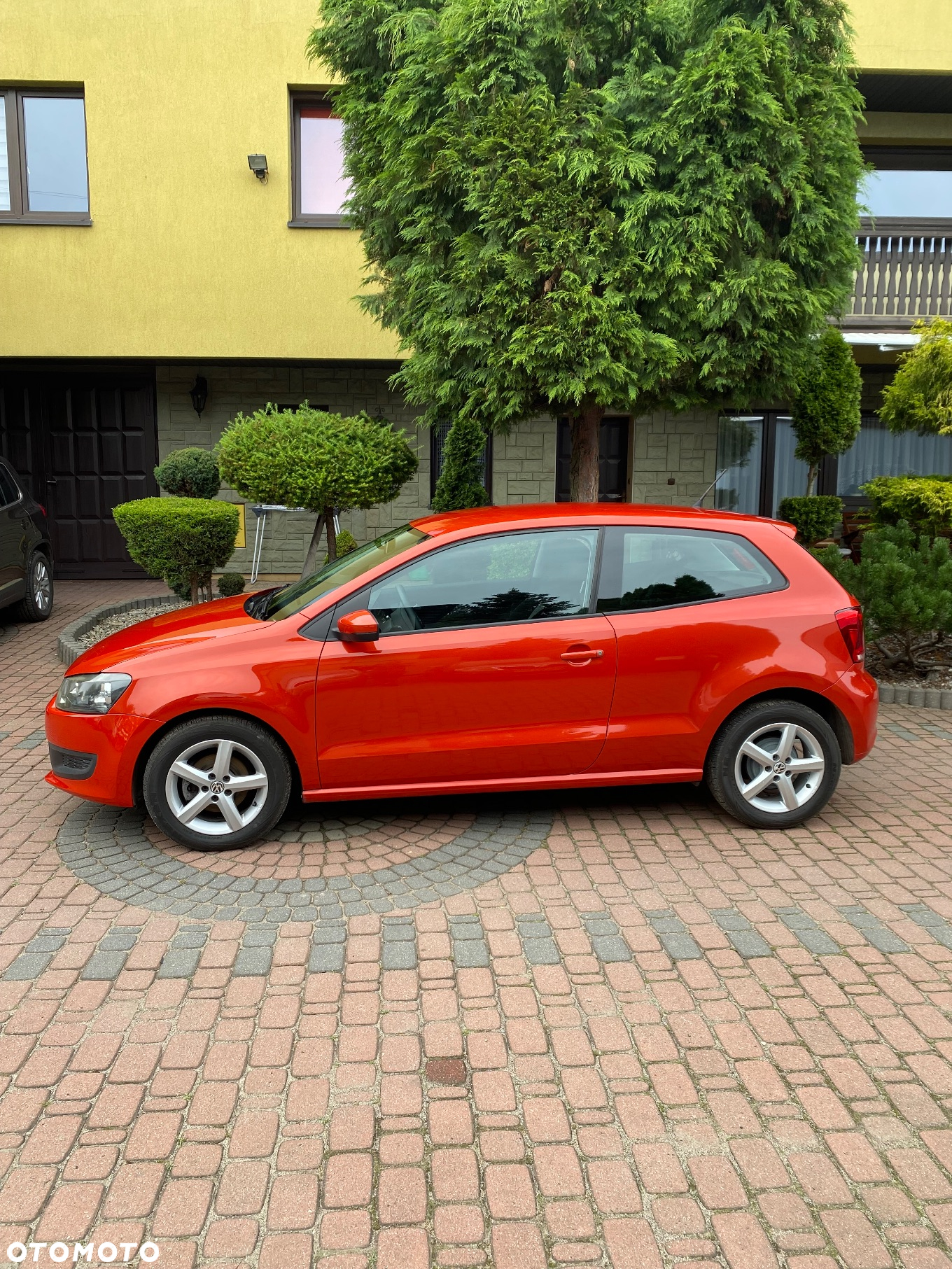 Volkswagen Polo - 3