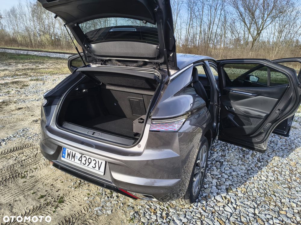 DS Automobiles DS 4 1.6 E-Tense Performance Line + - 31