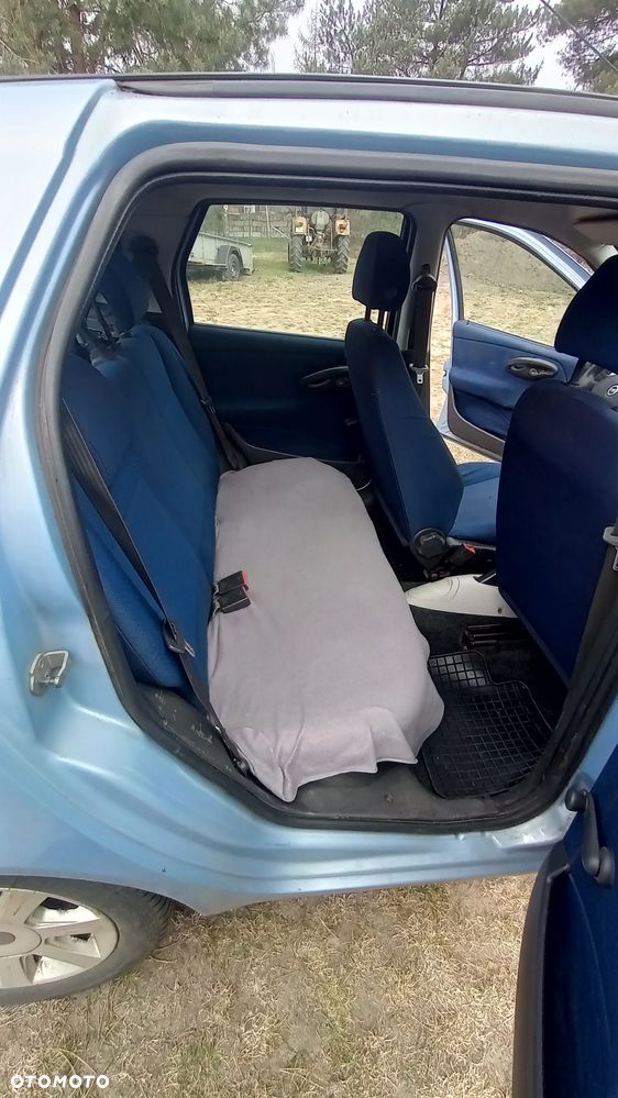 Fiat Punto 1.3 Multijet - 13