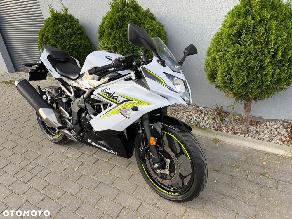 Kawasaki Ninja - 4