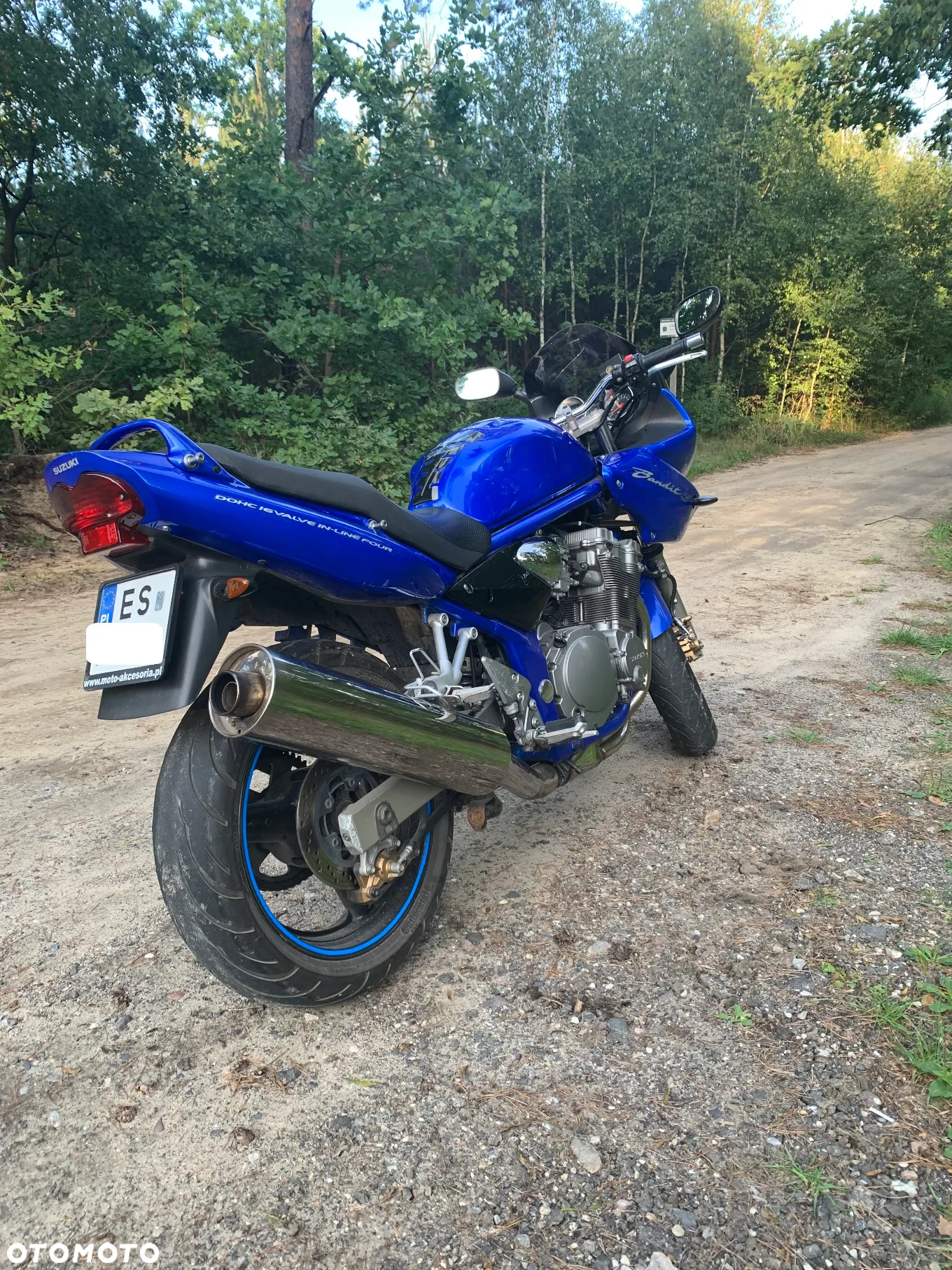 Suzuki Bandit - 3