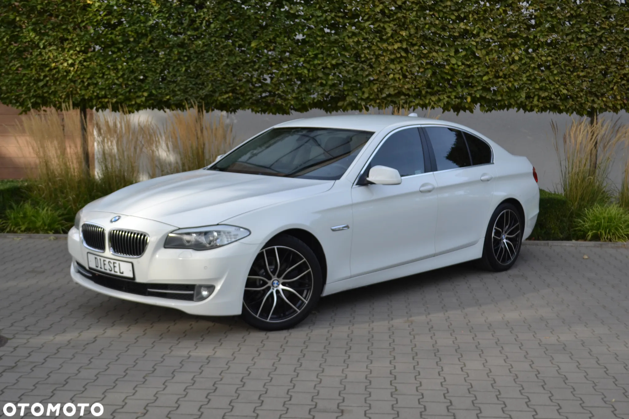 BMW Seria 5 - 4