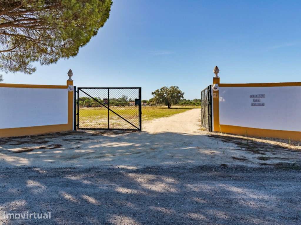 Quinta em Grândola - Grande imagem: 2/24