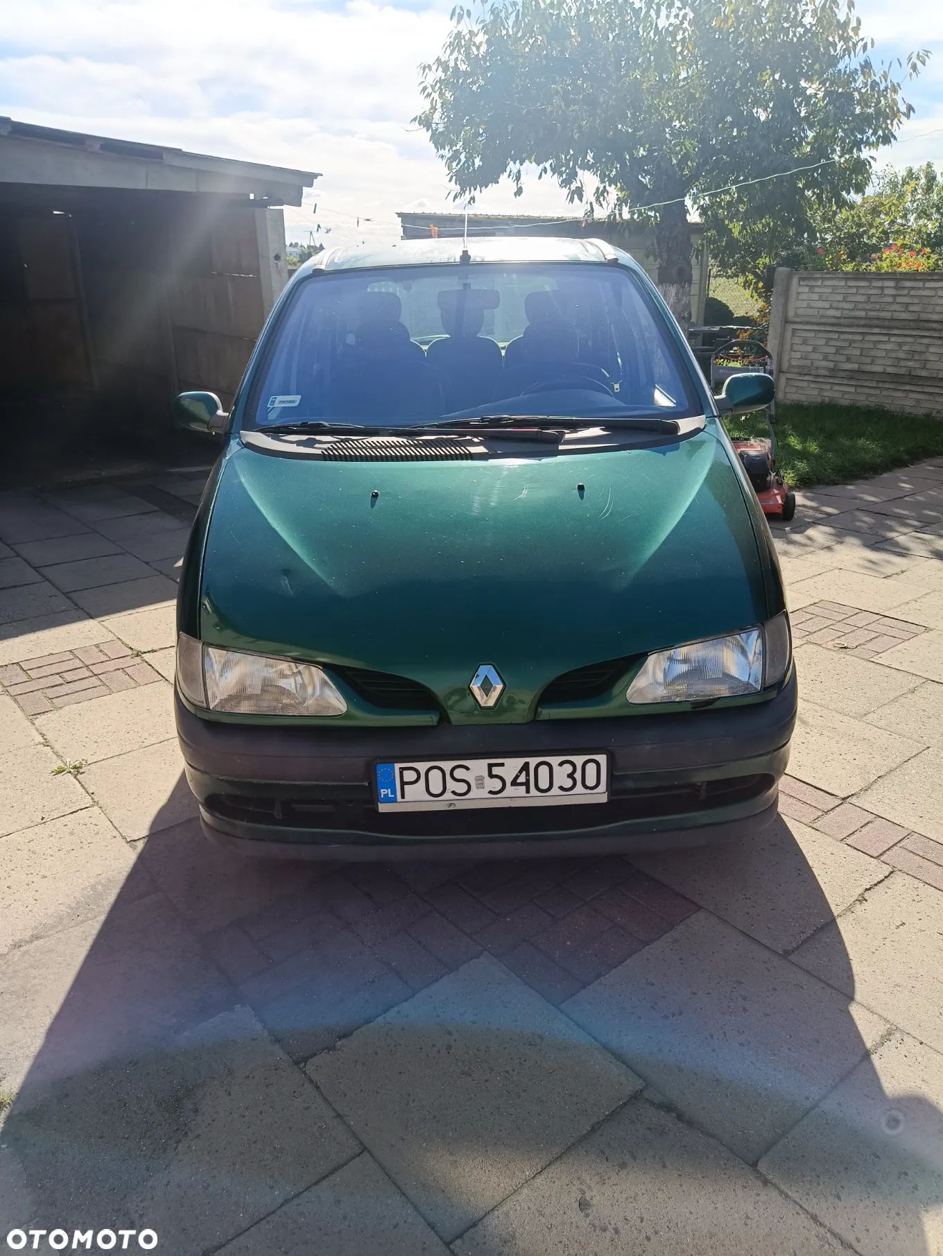 Renault Scenic - 1