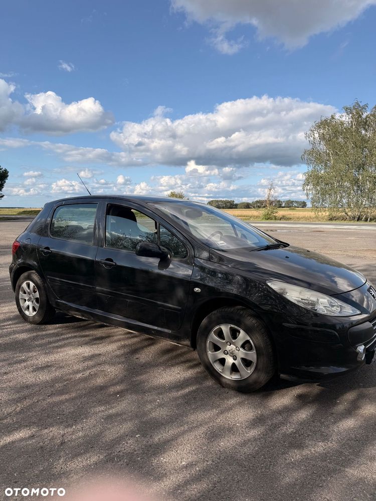 Peugeot 307 1.6 - 3