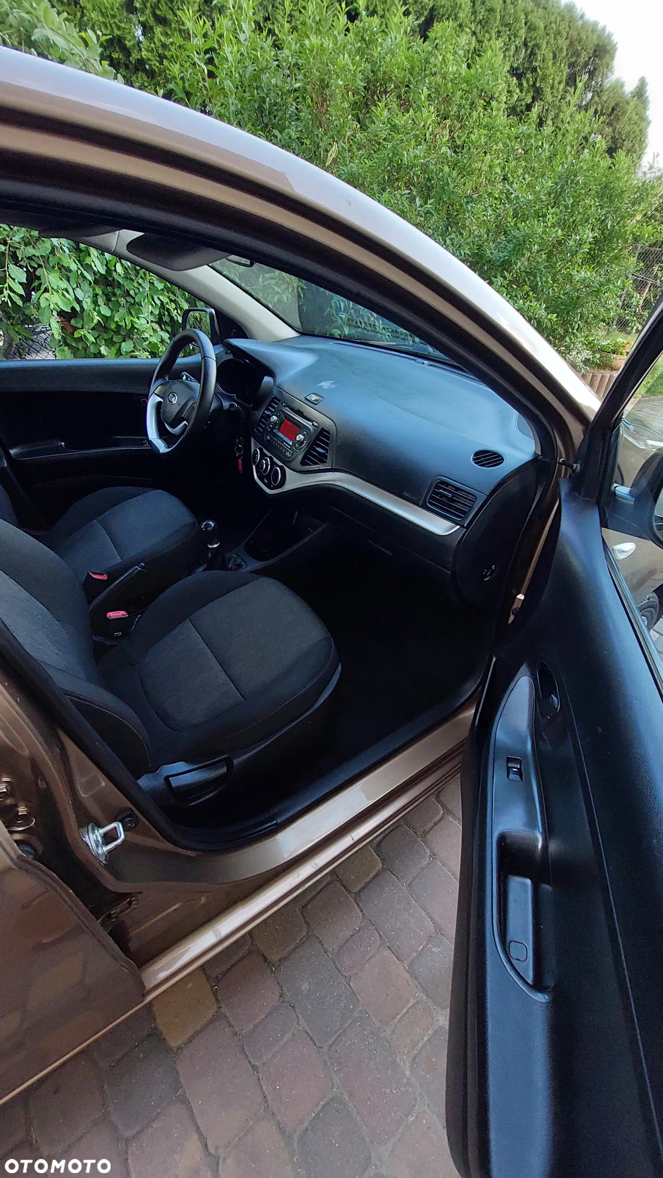 Kia Picanto 1.0 Dream Team Edition - 15