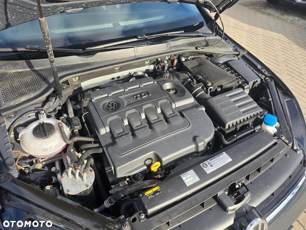 Volkswagen Golf - 16