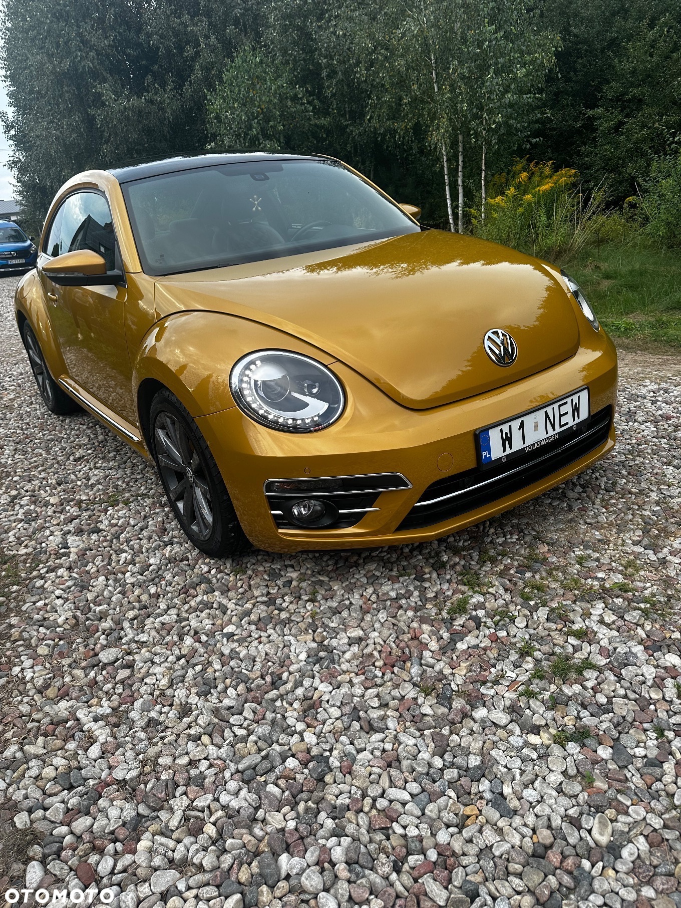Volkswagen Beetle - 11