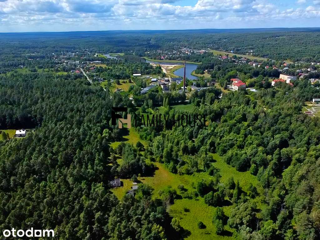 Urokliwe siedlisko 2,63ha z zabudowaniami, Bliżyn - Pełny obrazek: 2/17