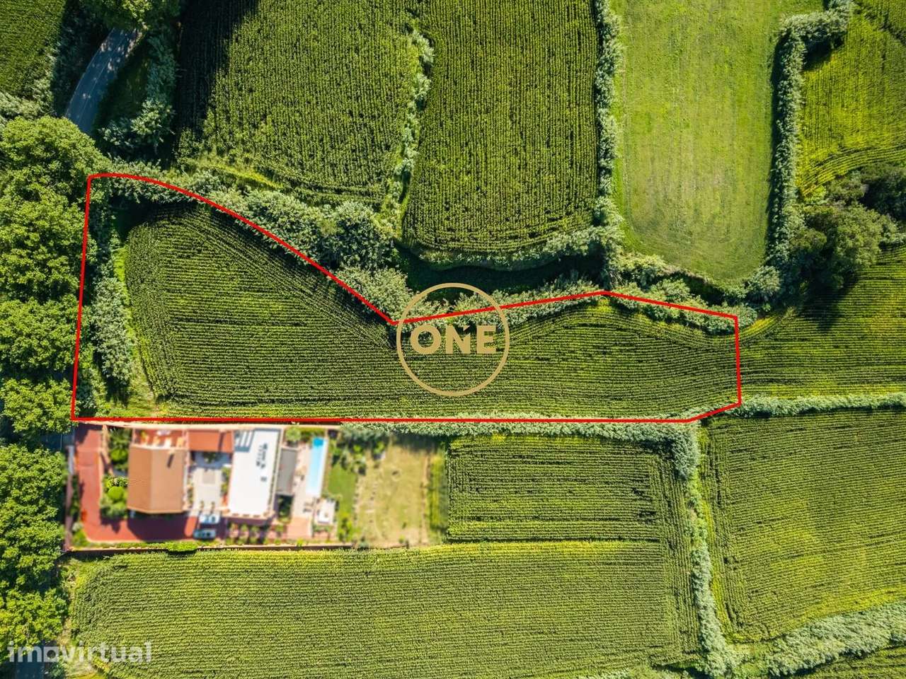 Terreno, 5 620 m², Mosteiros - Grande imagem: 5/5
