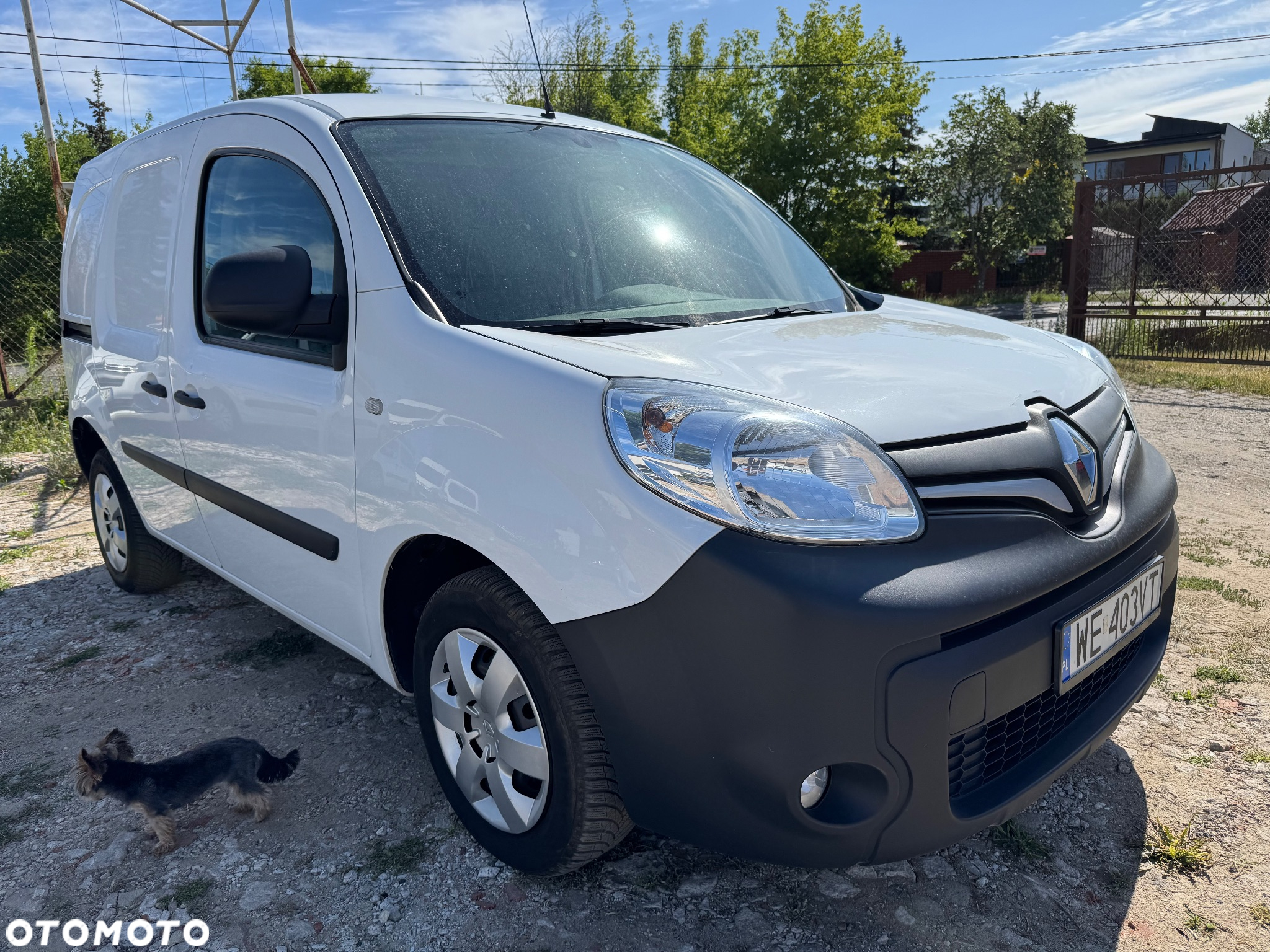 Renault Kangoo - 2