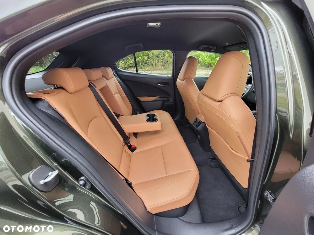 Lexus UX 300h F Sport Design - 17