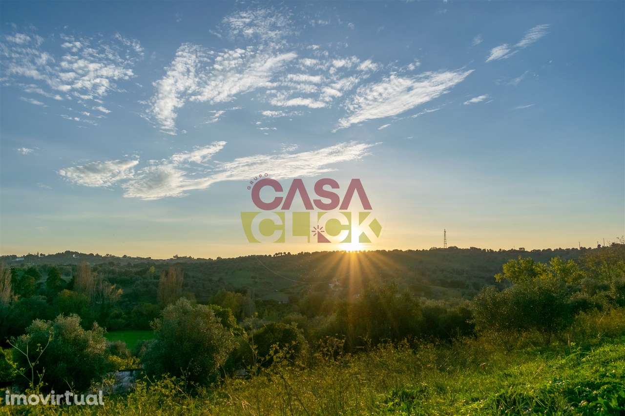 Lote de Terreno T3 Venda em Torres Novas (São Pedro), Lapas e Ribeira - Grande imagem: 2/20