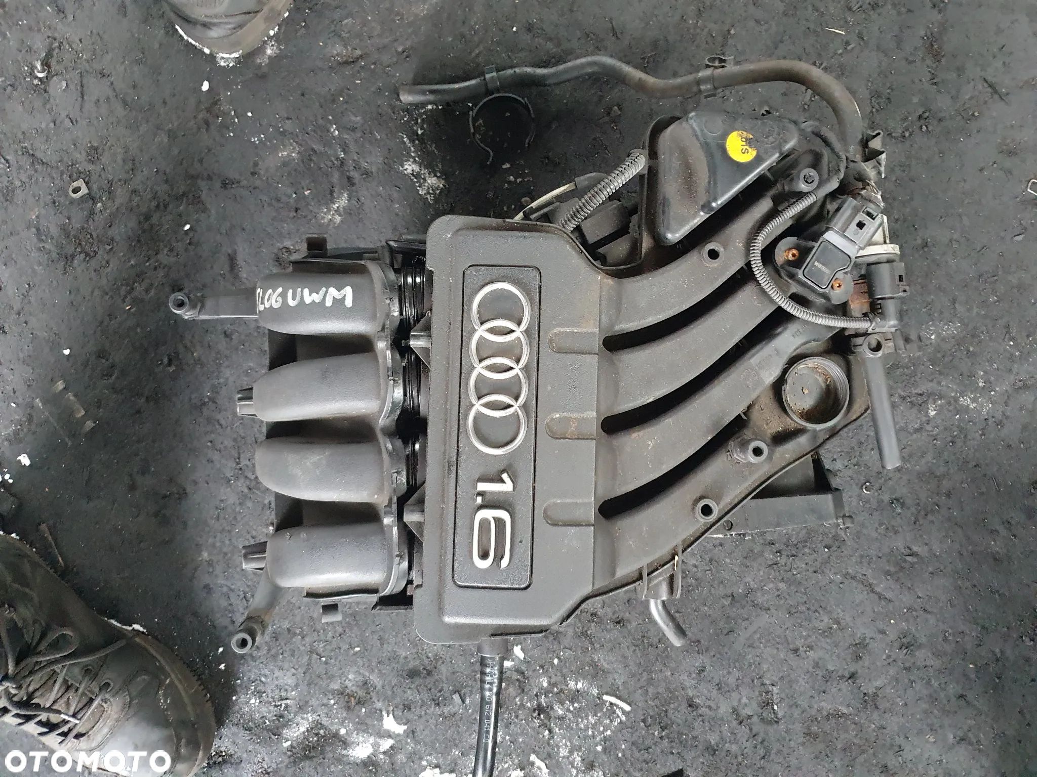KOLEKTOR SSĄCY AUDI A3 8P SEAT SKODA VW 1.6 SR MPI 102 KM - 1