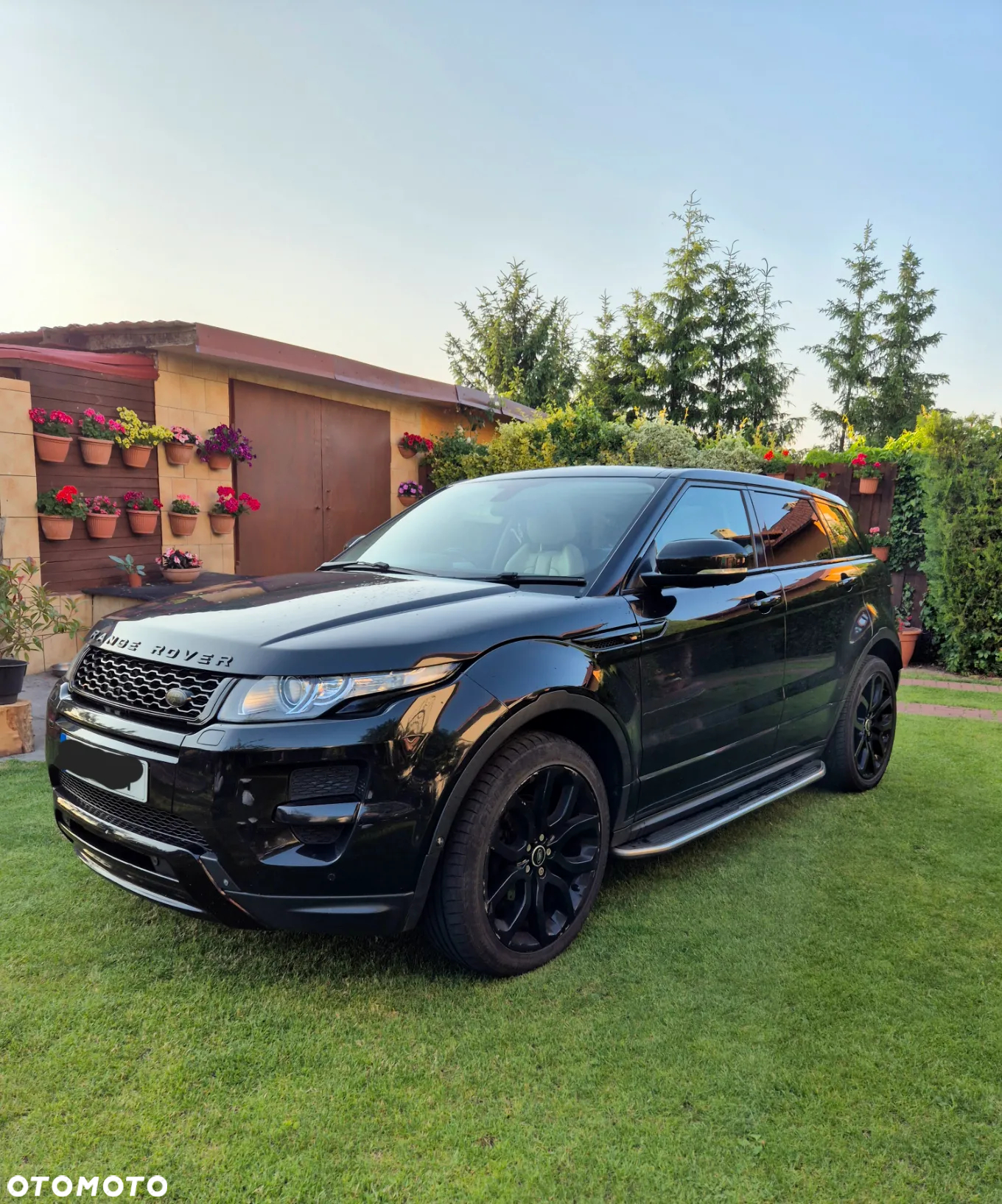 Land Rover Range Rover Evoque SD4 Blue Dynamic - 2