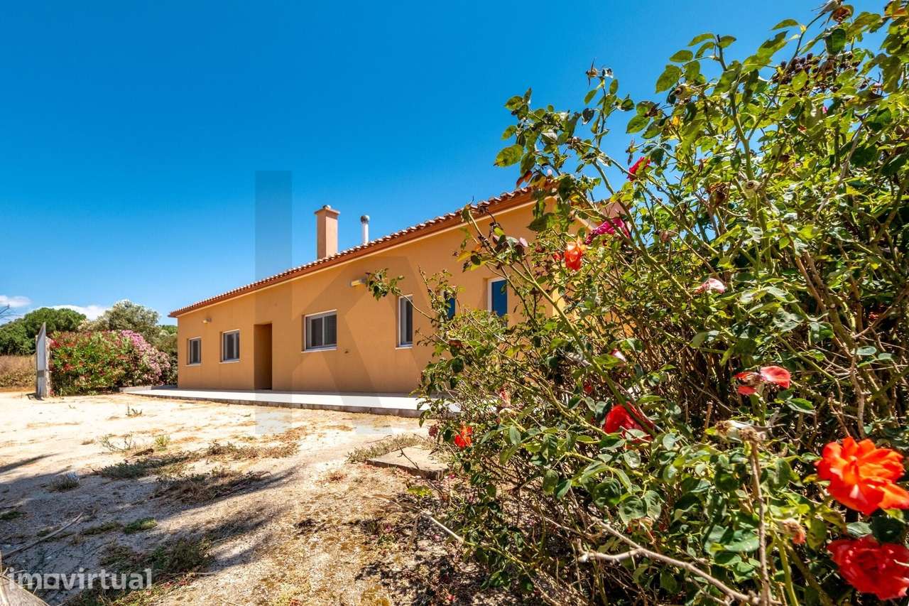 Monte Alentejano de Charme | 1,5 ha | Moradia T3 Renovada | Piscina a - Grande imagem: 3/40