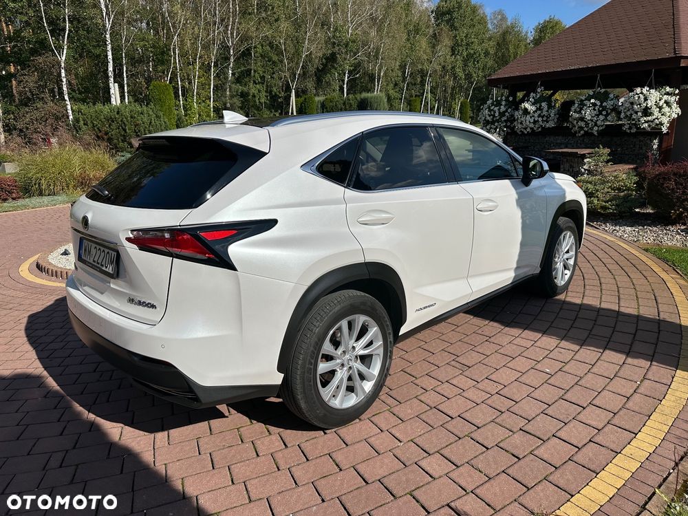 Lexus NX - 6