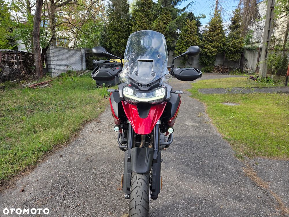 Triumph Tiger - 1