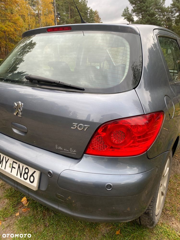 Peugeot 307 - 13