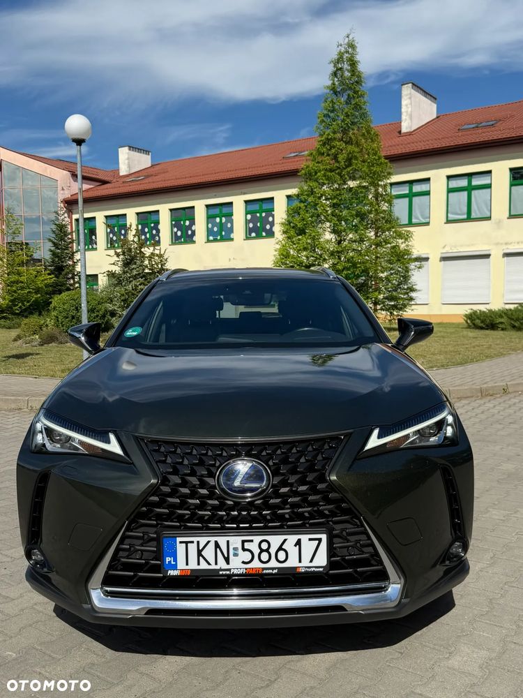 Lexus UX 250h F Sport 2WD - 24