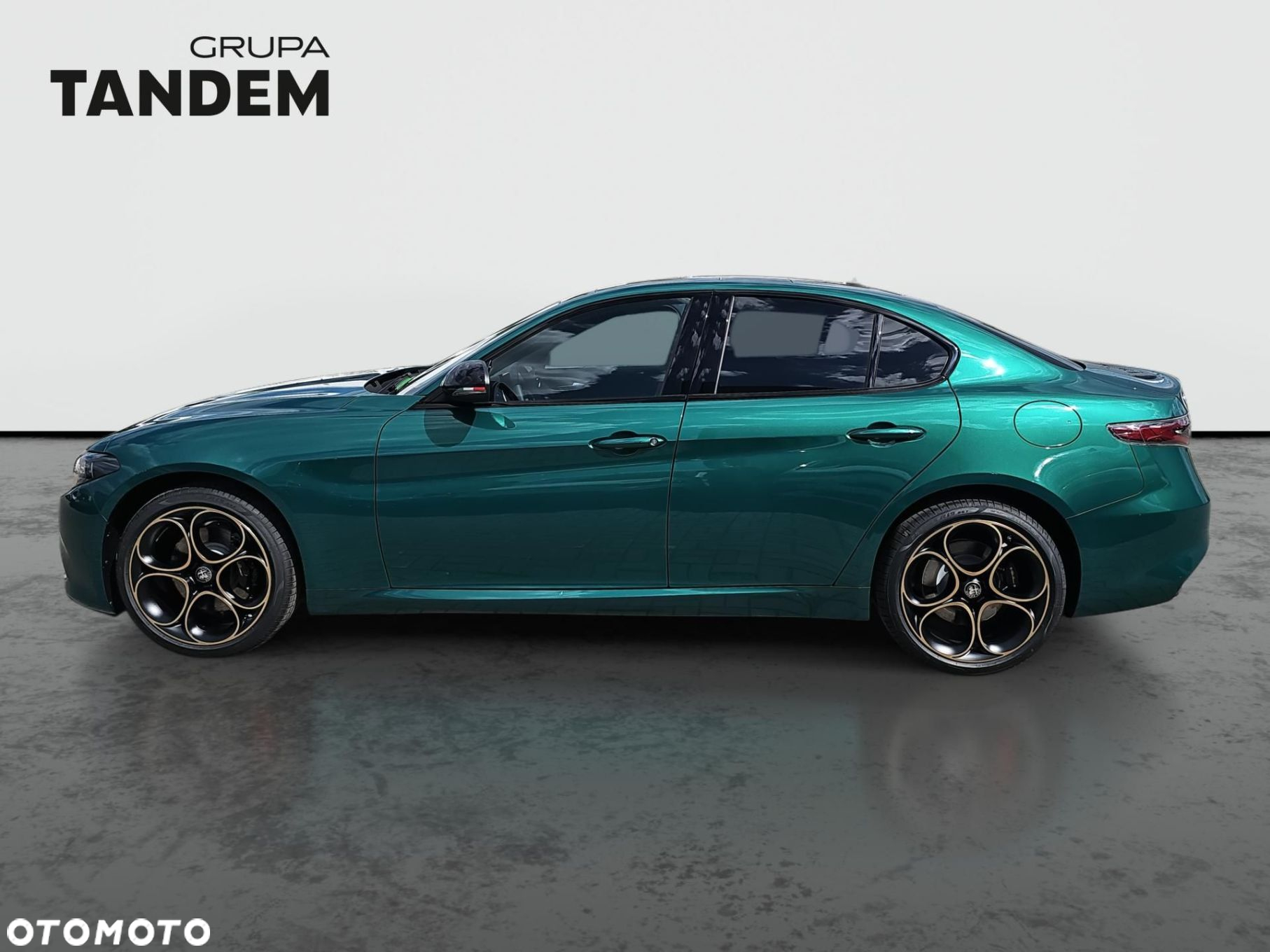 Alfa Romeo Giulia 2.0 Turbo Intensa Q4 - 8