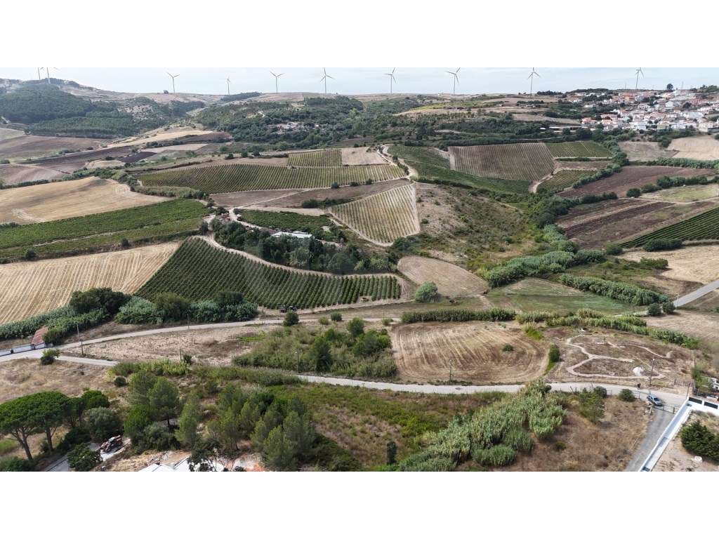 Terreno Rústico com 2280m², para venda, Runa, Torres Vedras - Grande imagem: 3/21