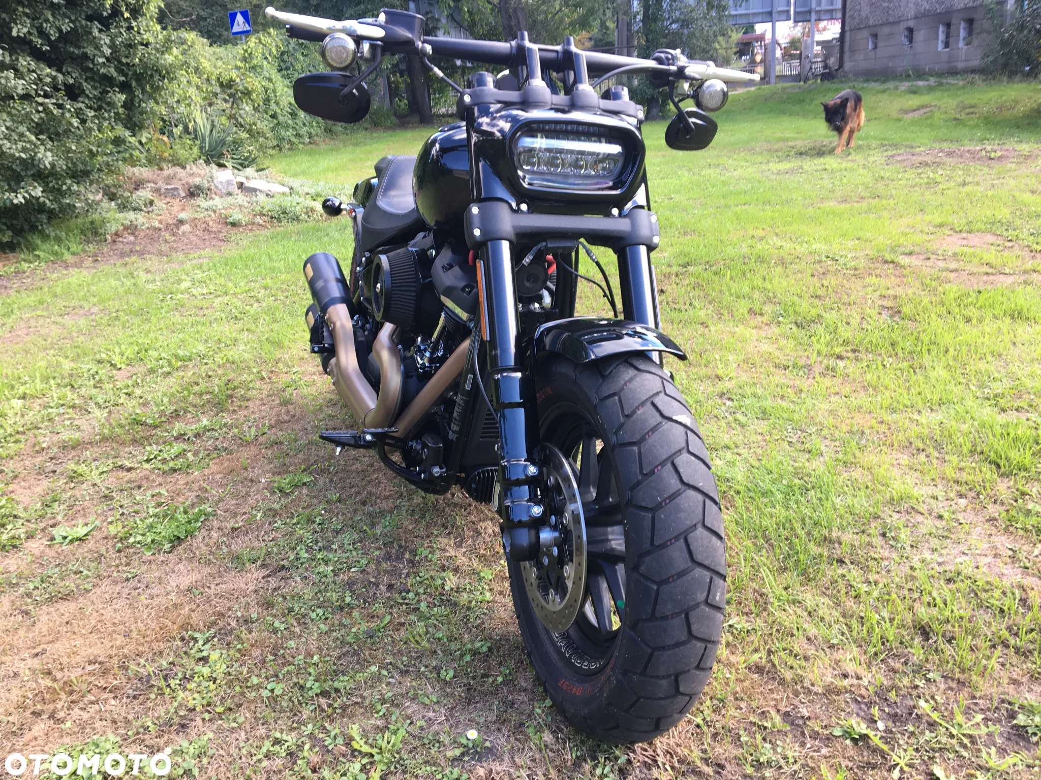 Macho Dyna Head - Academy Of Kaate - Matial Ats Supply Inc