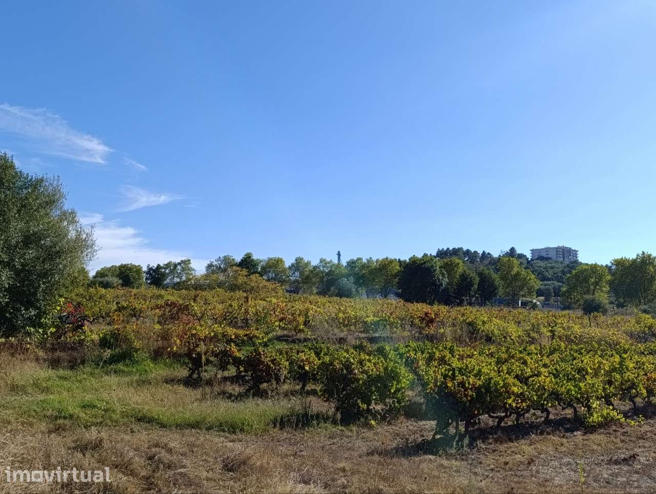 Quinta 4,3 hectares com casa junto a Belmonte, Castelo Branco - Grande imagem: 4/21