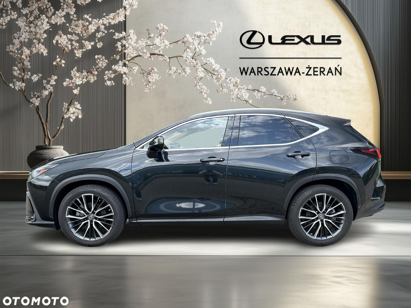 Lexus NX - 4
